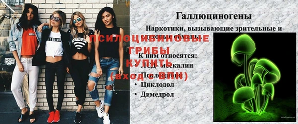 Альфа ПВП Алзамай