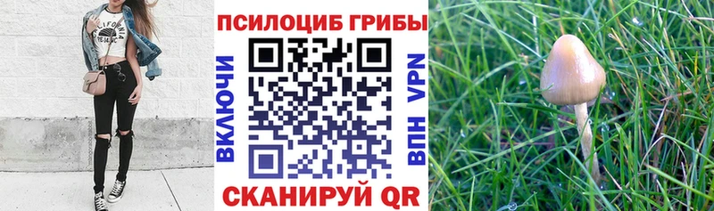 Псилоцибиновые грибы Magic Shrooms  наркота  Оса 